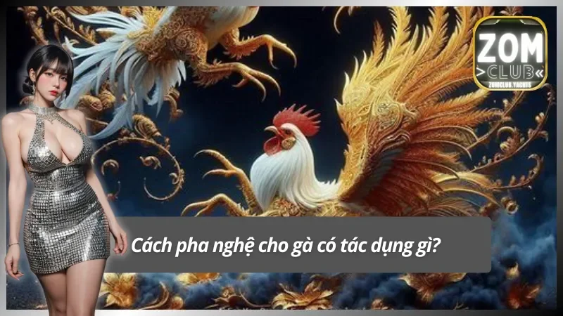 Lợi ích khi áp dụng đúng cách pha nghệ cho gà