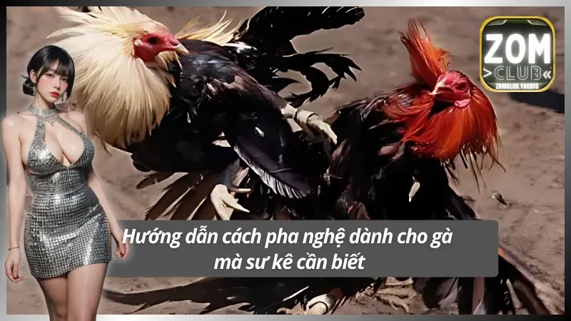 Cách pha nghệ cho gà chuẩn nhất bạn cần biết