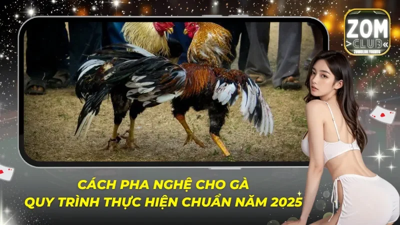 Cách Pha Nghệ Cho Gà