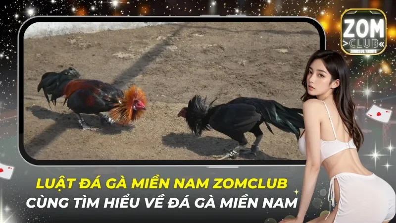 Luật Đá Gà Miền Nam